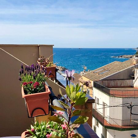 Hotel Medium Montecarlo ปาลาฟรูเจย์ ภายนอก รูปภาพ