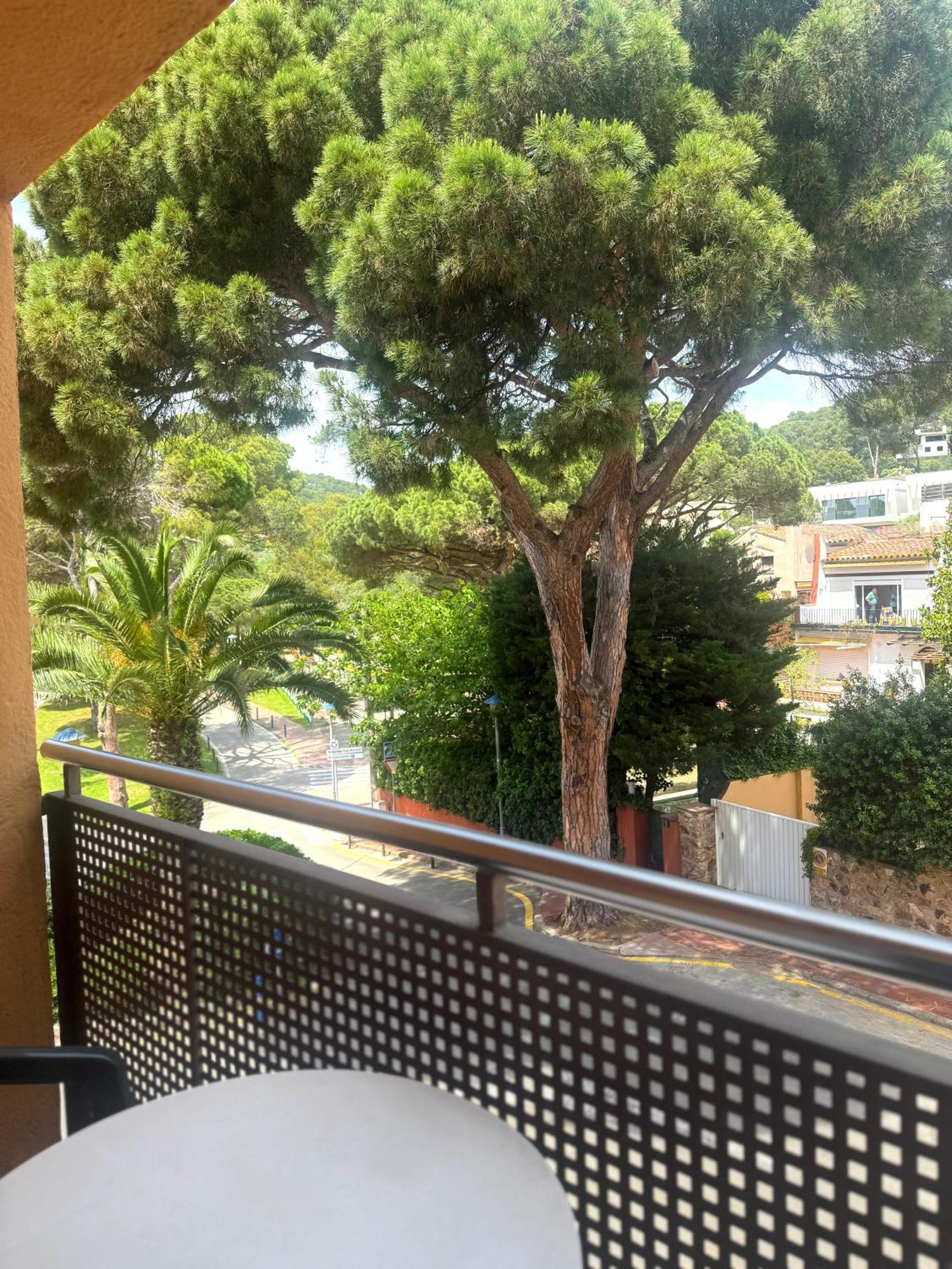 Hotel Medium Montecarlo ปาลาฟรูเจย์ ภายนอก รูปภาพ
